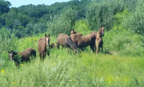Prestonsburg Auto Mart