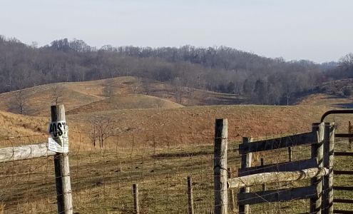 United Auto Sales 23719 US-19, Cedar Bluff Virginia 24609