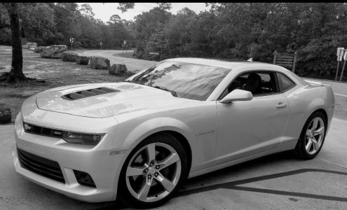 Lauderdale County Collision