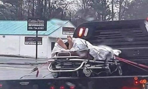 Little Birch Preowned Auto Little Birch