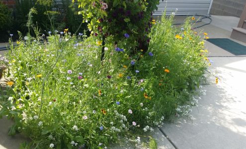 Johnstown Material Handling