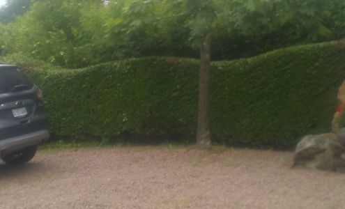 European Import Service, Inc.