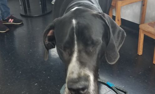 Northshore Xpress Lube