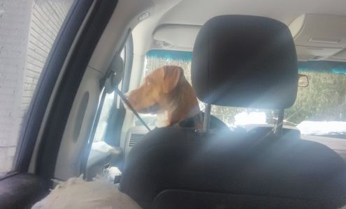 Steve Nelson's Auto Body Rpr