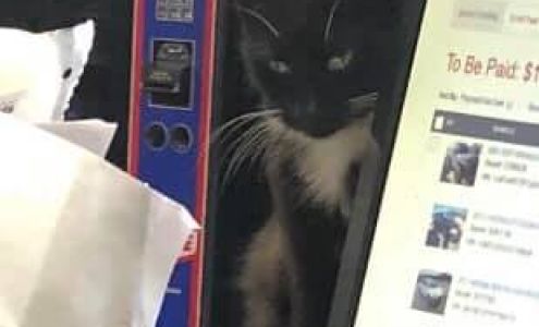 Jerry's Salvage & Used Parts