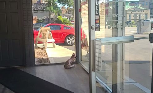 Kevin's Service Station