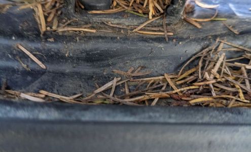 A & A Elegance Auto Detailing