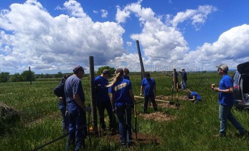 Roy's Westside Auto Body