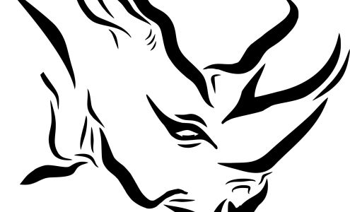 Rhino Performance Auto, LLC