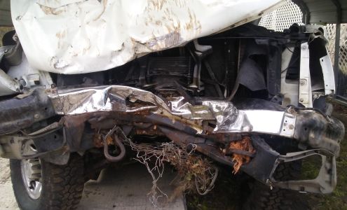 Fenders At Laurel Bay