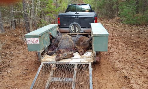 Ray Robinson's Auto Repair