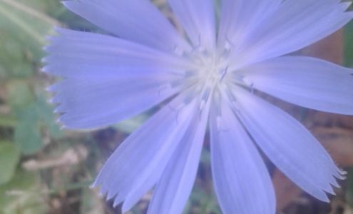 Kleencars Inc North Benton