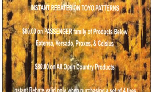 Mike Holcombe's Auto Services Center