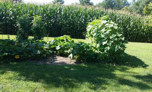 Moore Automotive Milton