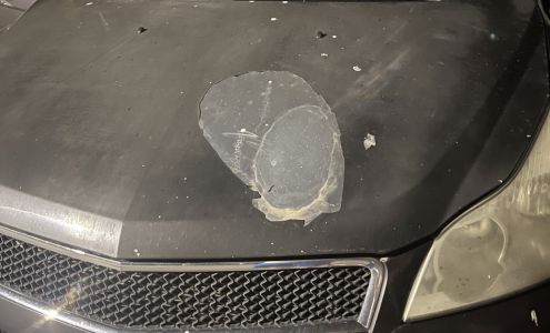 Carolina Paint & Body