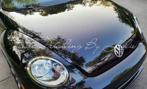 Auto Detailing By Leslie