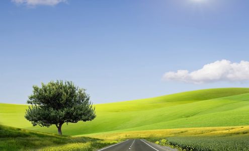 Service 1st Auto Care Lithonia