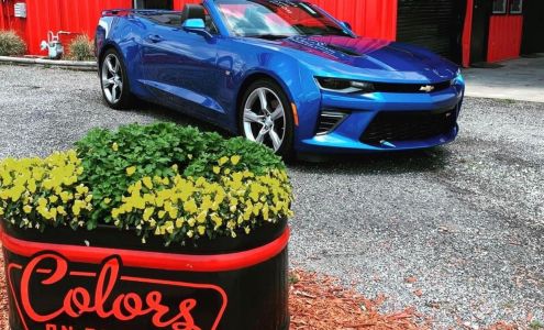 Colors On Parade South Georgia