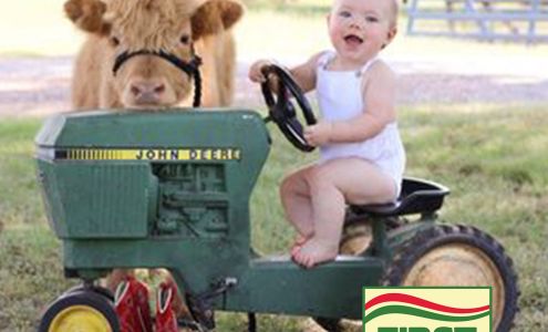 First Farmers CO OP Decaturville