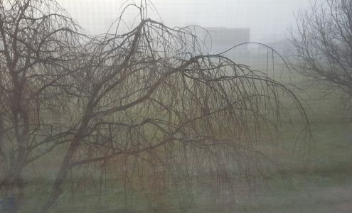 Walker Transmissions LLC