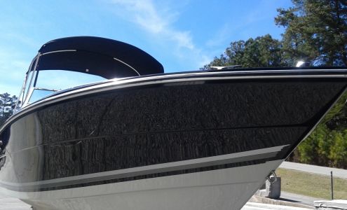 Lanier Mobile Detailing