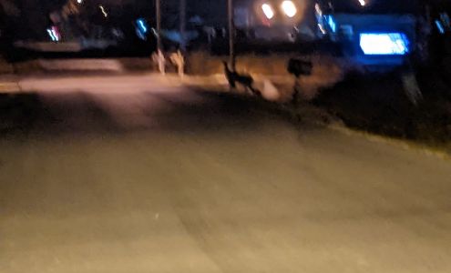 Bumper To Bumper Auto Parts/Crow-Burlingame