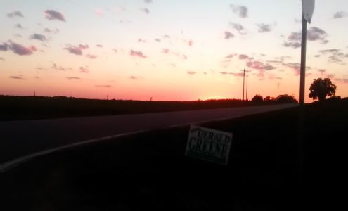 Rainey Colden Rainey Tire Bronwood