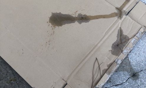 Mayeaux's Quality Car Care