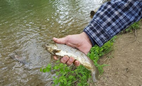 Roth's Garage Womelsdorf