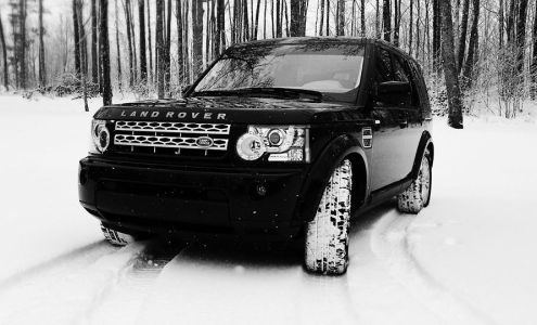 Big Orange Window Tint