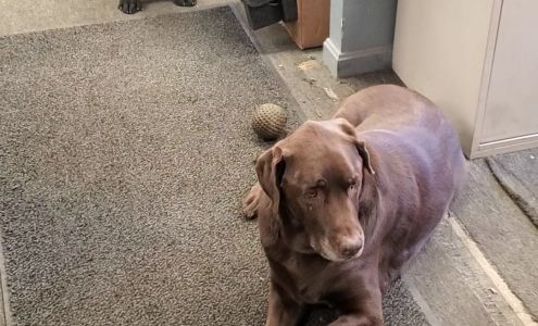 Jake's Truck Tire Service, LLC.