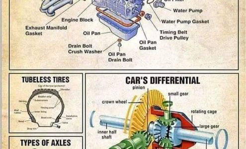 Gene's Alignment Tire and Brake