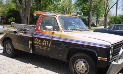 Dog City Paint & Body Neeses