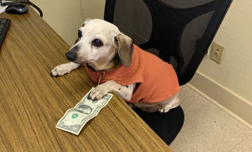 Means Sales & Services