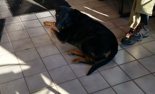 Tuffy Tire & Auto Service Center