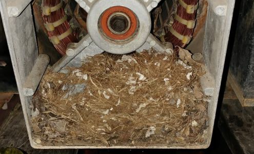 Wylie Electric Motor Services Ferrysburg