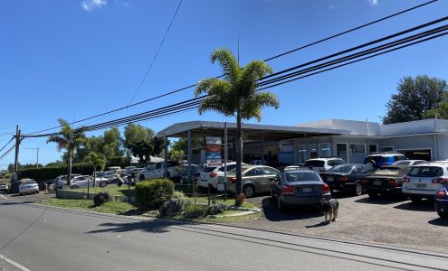 BMW/MINI Specialists Kula