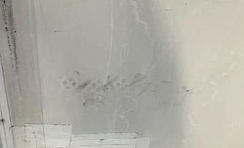 Krown Industrial Products Provided by Laserline Anna