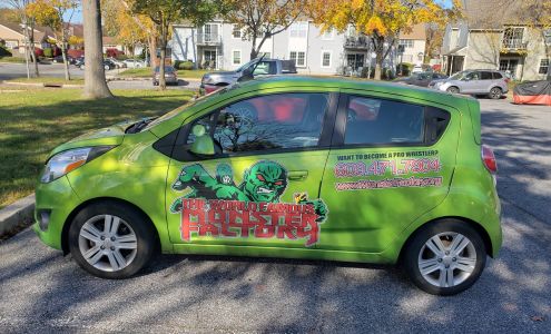 Hot Wet & Wax Palmyra