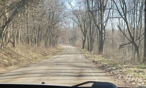 B & M Body Shop Inc Dundee