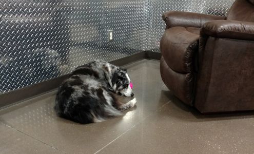 Premier Truck Group of Neosho