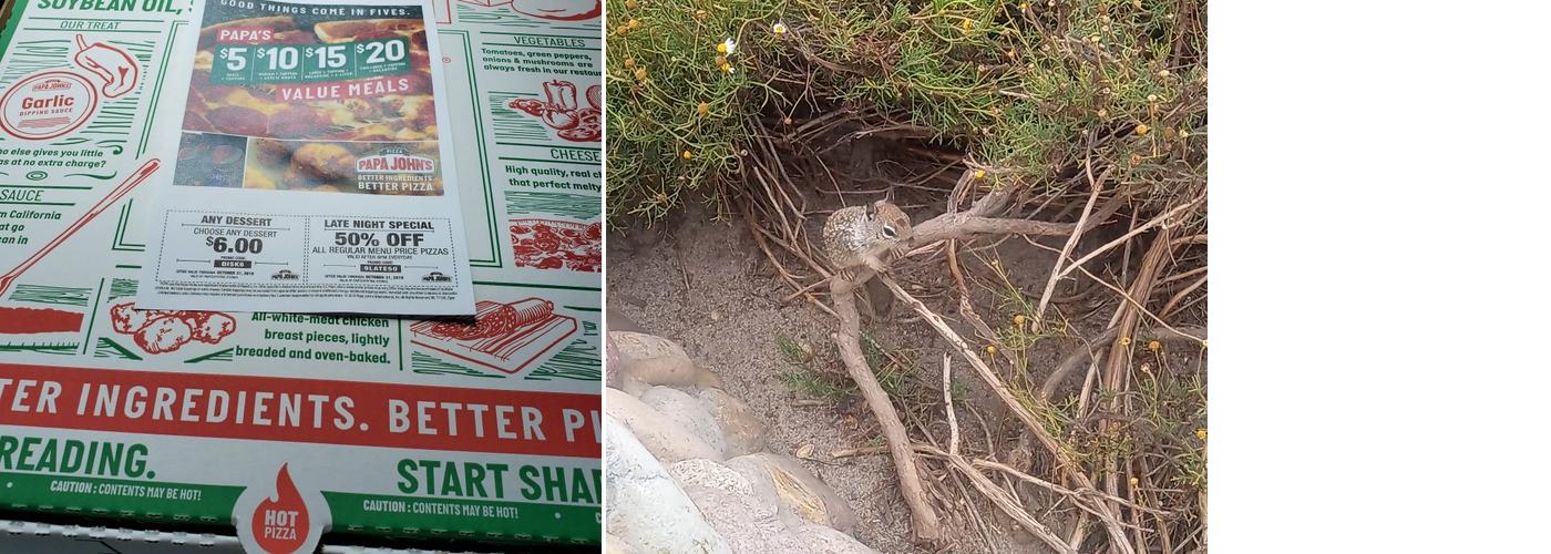 Papa Johns Pizza Menu