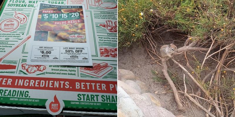 Papa Johns Pizza Menu