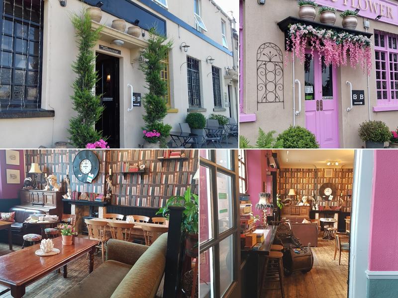 The Forester & Flower