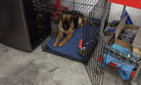 Jim Eck's Autobody Prospect