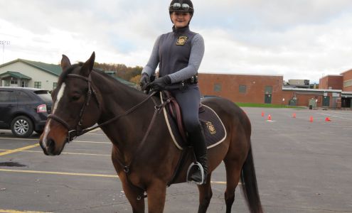 Freezer's Auto Parts Hughesville