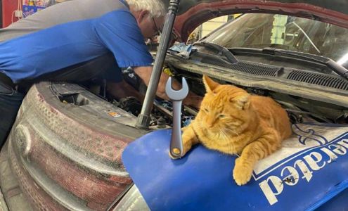 Johnson Sales & Repair