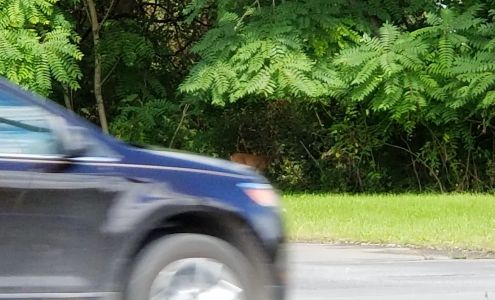 Precision Oil & Lube