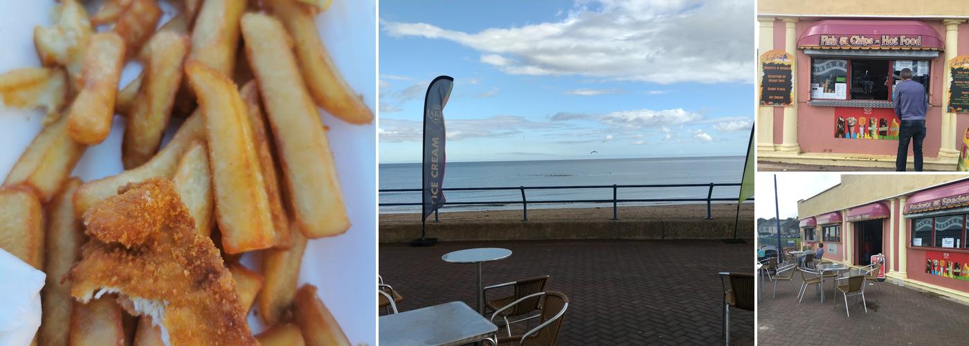 Surfer's Coffee House & Arcade