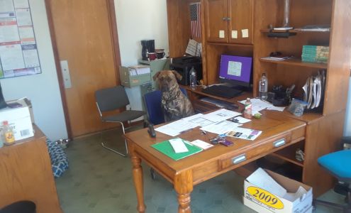 M and S Car Sales LLC